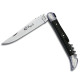 Laguiole knife with corkscrew, Ebony wood handle, 2 stainless steel bolsters, 11 cm - Image 1186