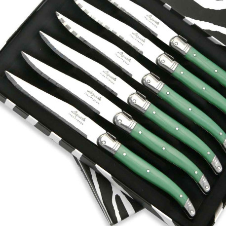 Coffret de 6 Couteaux à steak Laguiole ABS de couleur verte - Image 2070