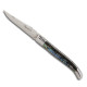 Laguiole knife with Abalone handle - Image 890